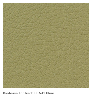 Flush Mount Albums/Landscape/12X09/Leather Cover/CC-541 Olive